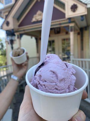 Gluten free Black raspberry truffle ice cream (very sweet! Has little chocolate truffles in it). Two scoops in a small cup. Perfect portion!