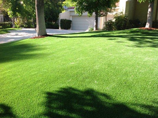 Artificial Turf