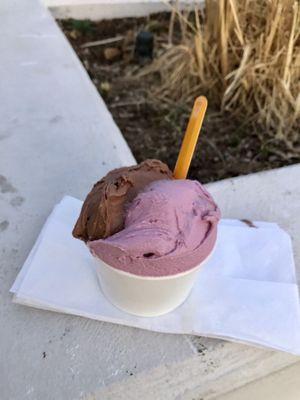 Chocolate peanut butter and Wild Cherry Gelato