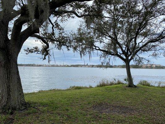 Calming view of Lake Seminole :)