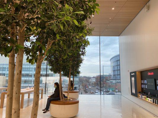 The newest location for this Apple store has actual trees in the back room. Absolutely beautiful aesthetic.