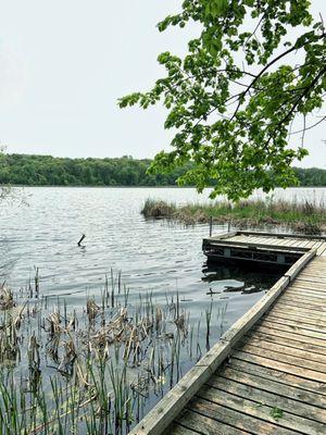 dock area off a trail