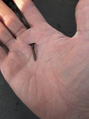 One of the many nails I found in our parking lot after they had "cleaned up" and left for the day.