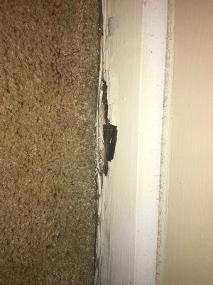 Rotten Baseboards from apt flooding. Gross