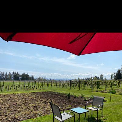 Outdoor patio table for wine tastings.