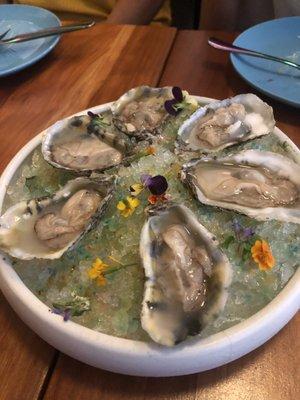 Gorgeous oysters