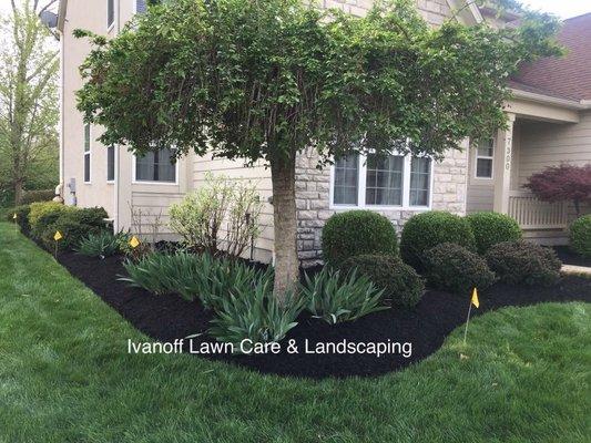 Landscaper and Landscape Designer in Lewis Center, OH