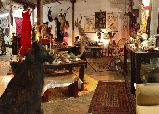 Absinthe Taxidermy  houses a large selection of taxidermy movie props as well as furnishings.  Open by appointment only