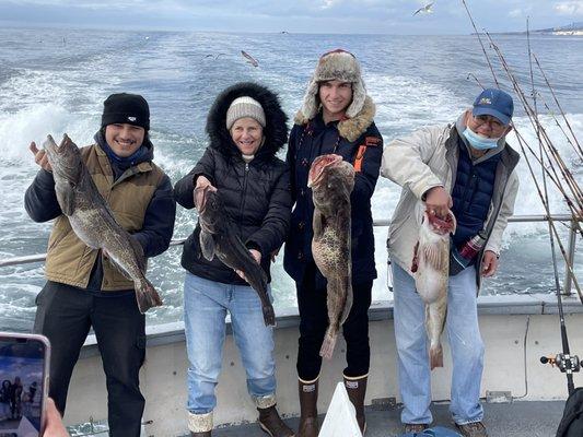 nice lingcod catch