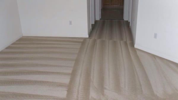 Sam from San Diego Carpet Cleaning did great job !!!