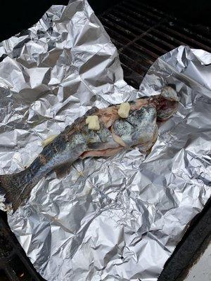 Grilling trout