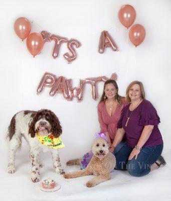 One year Smash Cake Birthday party for a Dog is a great idea!