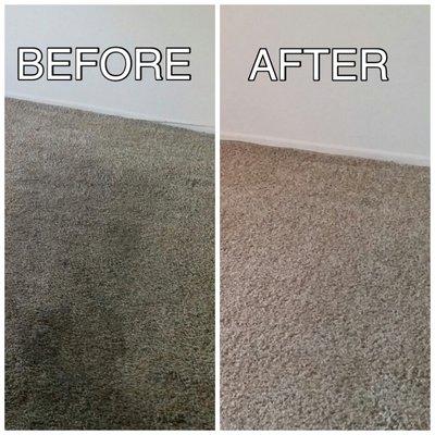 Carpet Job