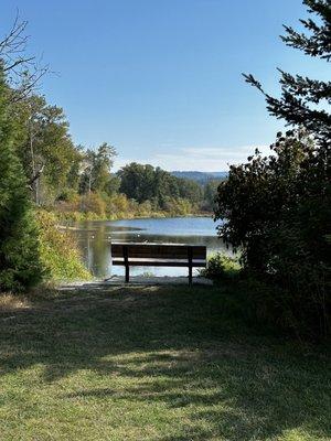 Bench overlooking water