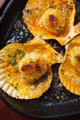 Grilled Scallops