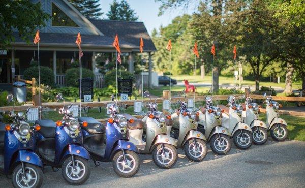 Moped Rental Fleet