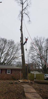 Tree Service Smyrna
 4500 West Village Pl
 Ste 2015
 Smyrna, GA 30080
 (678) 658-2550