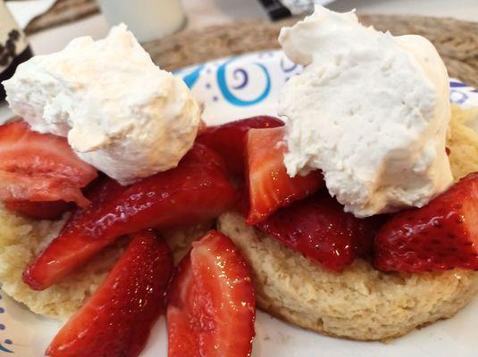 Strawberry Shortcake (includes San Martin dairy; Milk, Butter & Cream) BEST EVER!