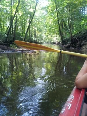 Dowagiac River