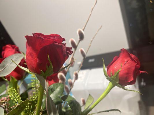 Dying roses