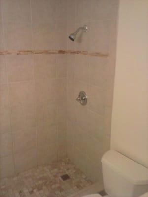 Tub-to-Shower Conversion "After"