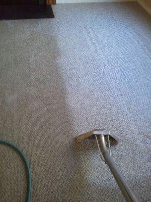 Carpet Cleaning in LBI