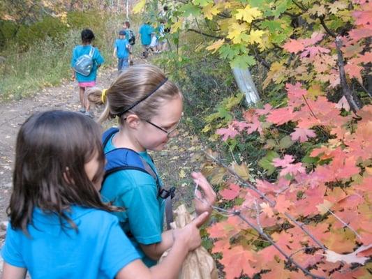 Elementary Fall Hike