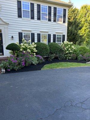 Black Mulch Job