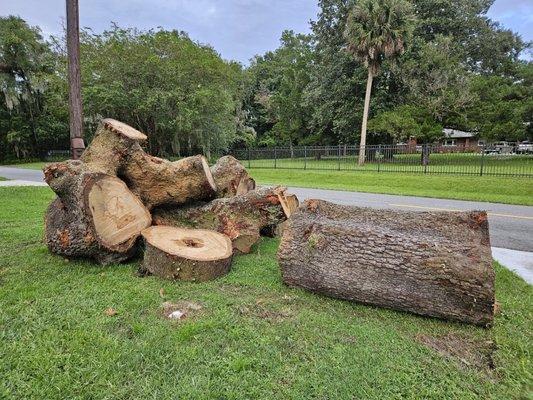 Did not pick up debris have waited two weeks. Contract states haul debris.