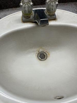 Mold growing out of the sink.