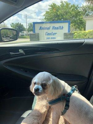 Wow! Amazing drive up service today to keep our humans healthy! Thank you, Dr Jones and staff!!!