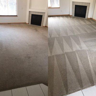 Hall Carpet Cleaning Services