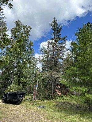 Before removing this dying balsam and small patch of trees crowding this customer's cabin.