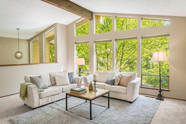 Living Room bathed in green as sunlight is filtered through trees at Bothell split-level.