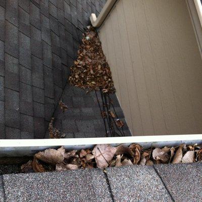 PROFESSiONAL "GUTTER AND ROOF" DEBRiS REMOVAL SERViCES!