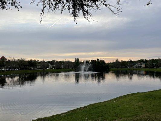 Beautiful March evening in Avalon Park