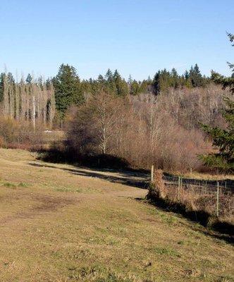 The Bremerton Bark Park is just a fenced in open field.