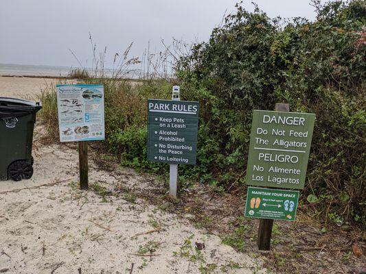 Don't feed the alligators? What?!?