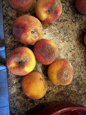 Rotten Peach Truck peaches