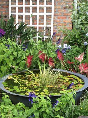 Fish pond