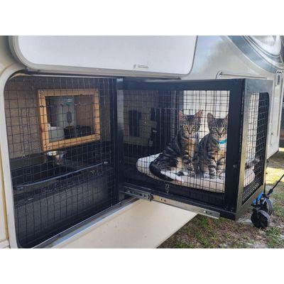 Custom Catio