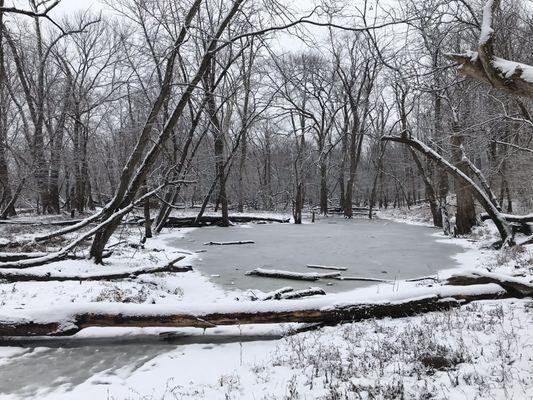 Along the yellow and tan trails