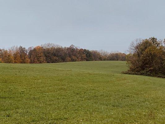 The field at the top of the hiking trail