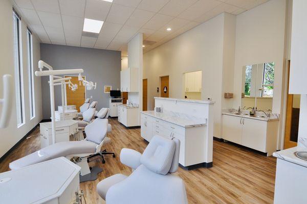 Modern and clean treatment bay