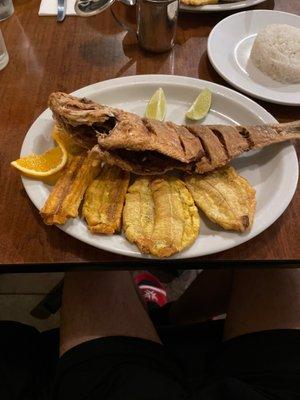 Fried snapper