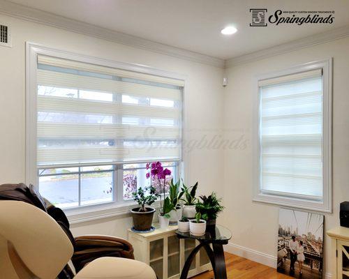 Zebra Premium Pleated Light Filtering Sheer Shades in Living Room - Ivory