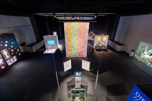 Overhead shot of the large gallery at Gray Area with an exhibition. This space can also be used for concerts, weddings, and other events.