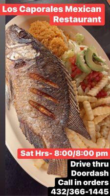 Mojarra Plate