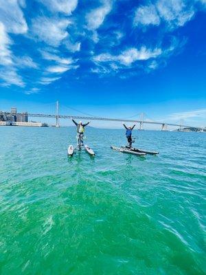 Another perfect day in the San Francisco Bay, I think they were a little excited about it!