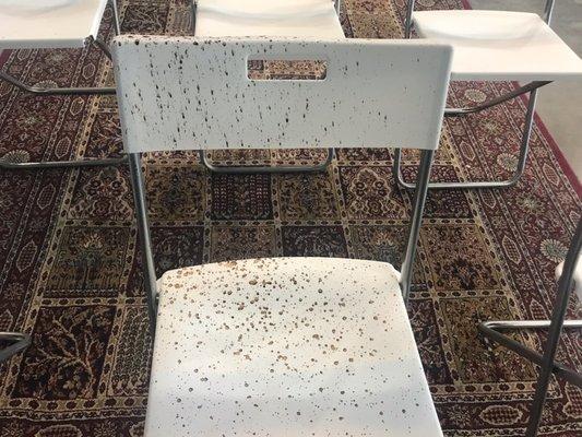 Black tar raining down on our brand new chairs and carpet.  Sansone Group told me turn it into insurance - they're not responsible.